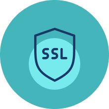SSL Encrypted - icon